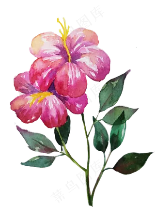 水彩花朵小清新鲜花