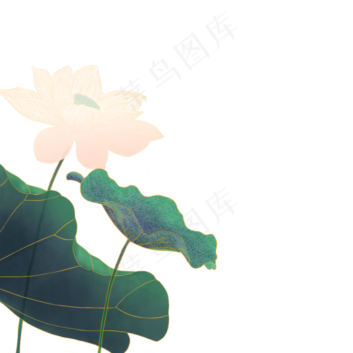 水墨国风工笔荷花