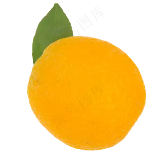 美味水果橙子