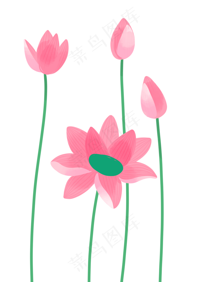 几朵粉色的荷花(1342X1822(DPI:300))psd模版下载