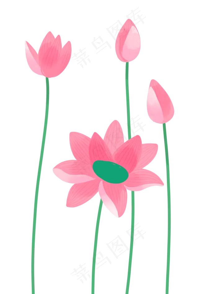 几朵粉色的荷花(1342X1822(DPI:300))psd模版下载