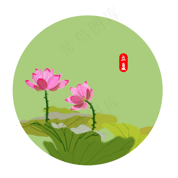 二十四节气之立夏荷花盛开