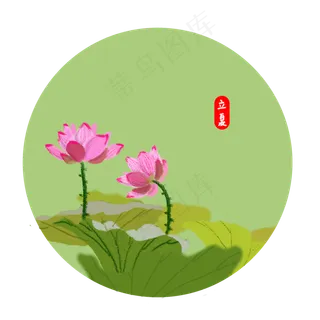 二十四节气之立夏荷花盛开 二十四节气之立夏荷花盛开