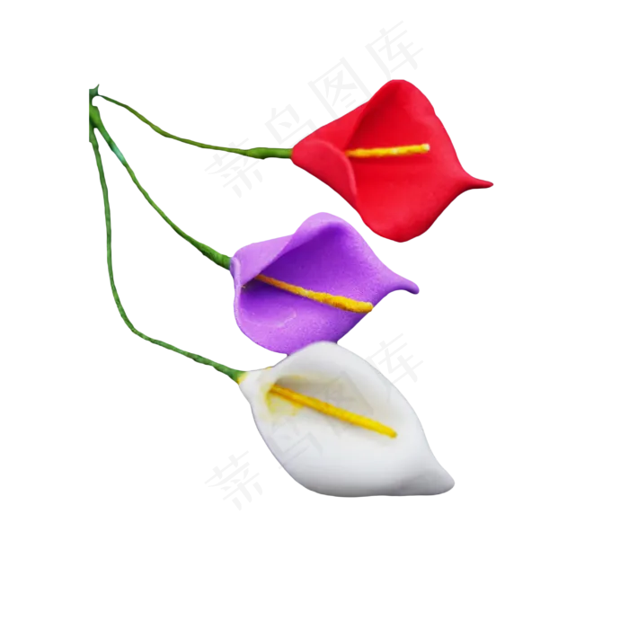 马蹄莲花朵花枝,免抠元素(3000*3000px 300 dpi )