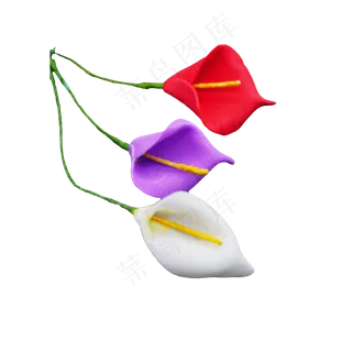 马蹄莲花朵花枝,免抠元素