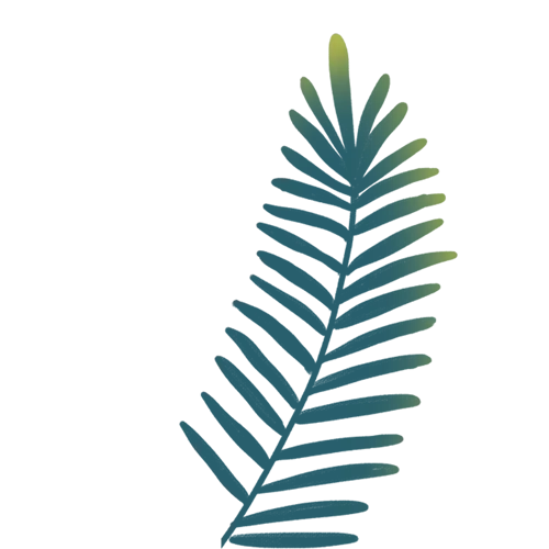 手绘卡通渐变大叶植物免扣元素(500X500(DPI:72))psd模版下载