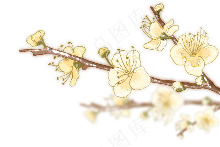 水彩春节装饰花,免抠元素(3000X2000(DPI:299))psd模版下载