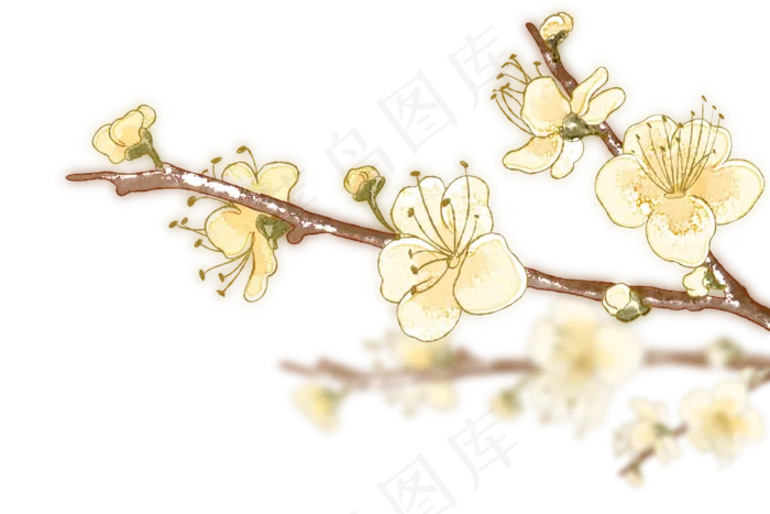 水彩春节装饰花,免抠元素(3000X2000(DPI:299))psd模版下载