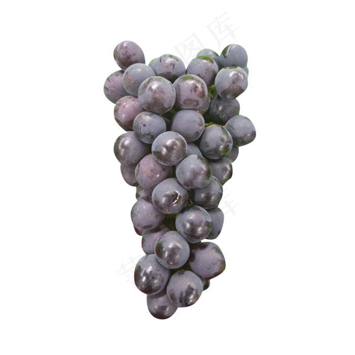 新鲜水果黑葡萄