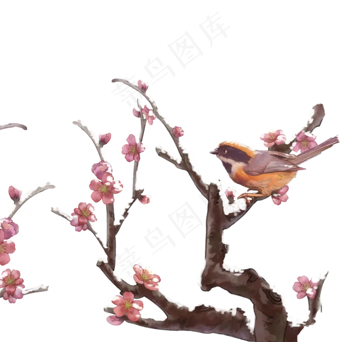 冬至大雪梅花花鸟工笔冬季风景,免抠元素