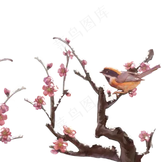 冬至大雪梅花花鸟工笔冬季风景,免抠元素