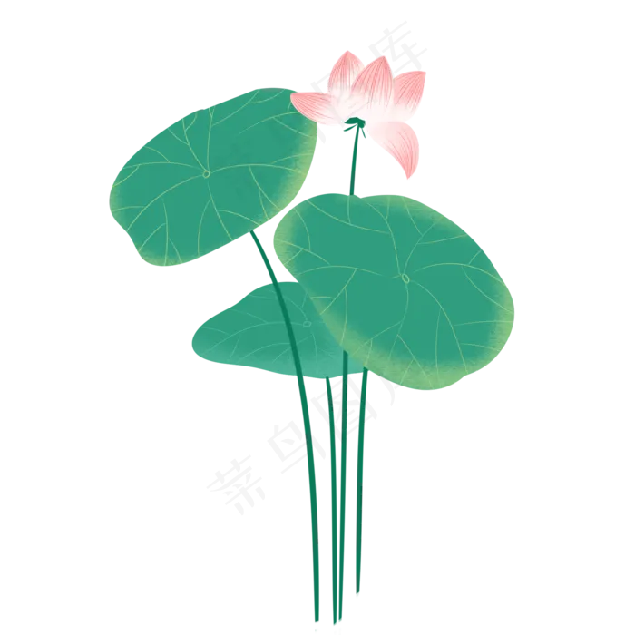 夏季节气荷花荷叶 (2000X2000(DPI:299))psd模版下载