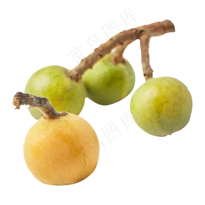 绿色的枇杷免抠图(2000X2000(DPI:300))psd模版下载