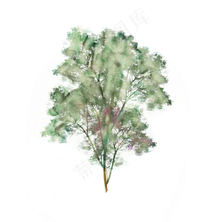 水彩风格一棵大树