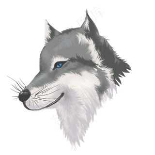 狼头野狼野生动物,免抠元素