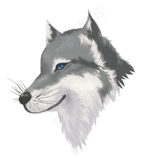 狼头野狼野生动物,免抠元素