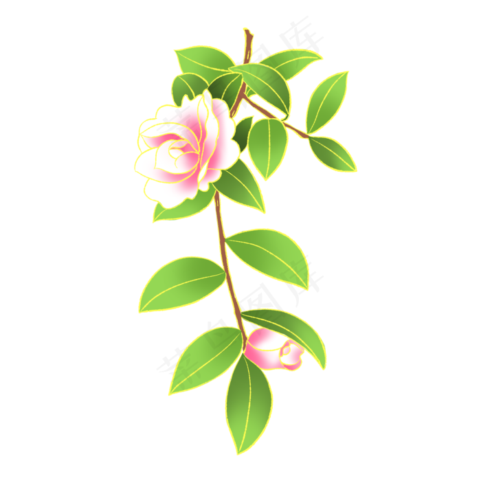 新中式国潮风植物山茶花