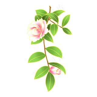 新中式国潮风植物山茶花