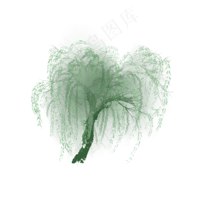 春天绿色的柳树生长