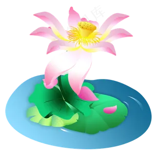 夏季节气荷花荷叶