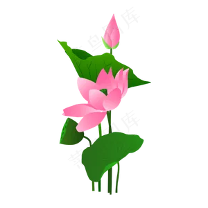 卡通粉色莲花免扣