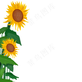 卡通黄色的葵花
