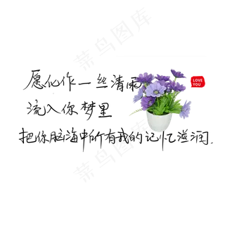 愿化作一丝清雨流入你的梦里把你脑海中所有我的记忆滋润