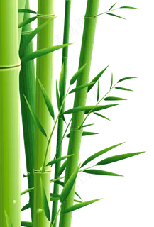竹林竹子 竹林竹子