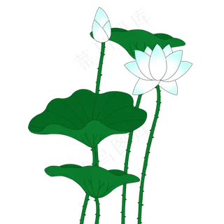 装饰小清新荷花元素