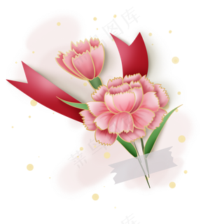 粉色康乃馨花朵