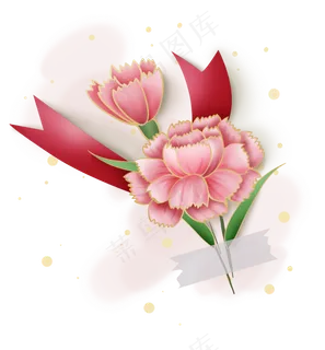 粉色康乃馨花朵