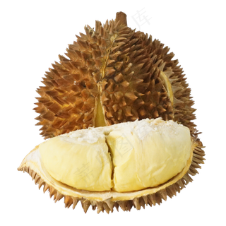 黄色榴莲果实,免抠元素
