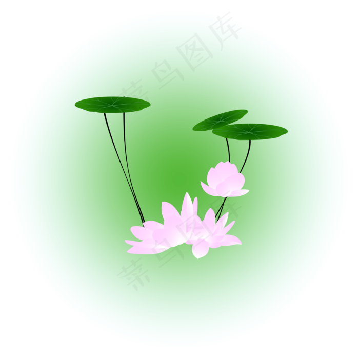 夏日荷花清新精美