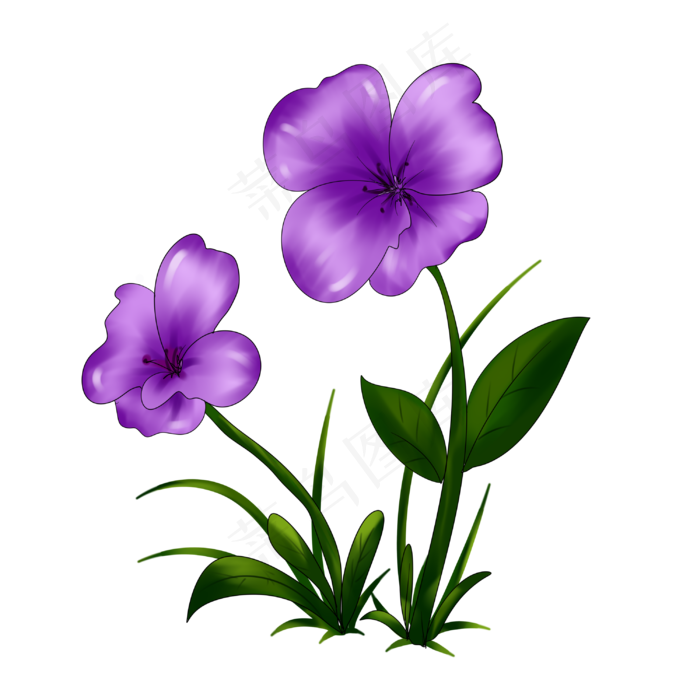 紫色的花植物手绘装饰图案