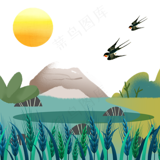 芒种节气稻草稻谷燕子