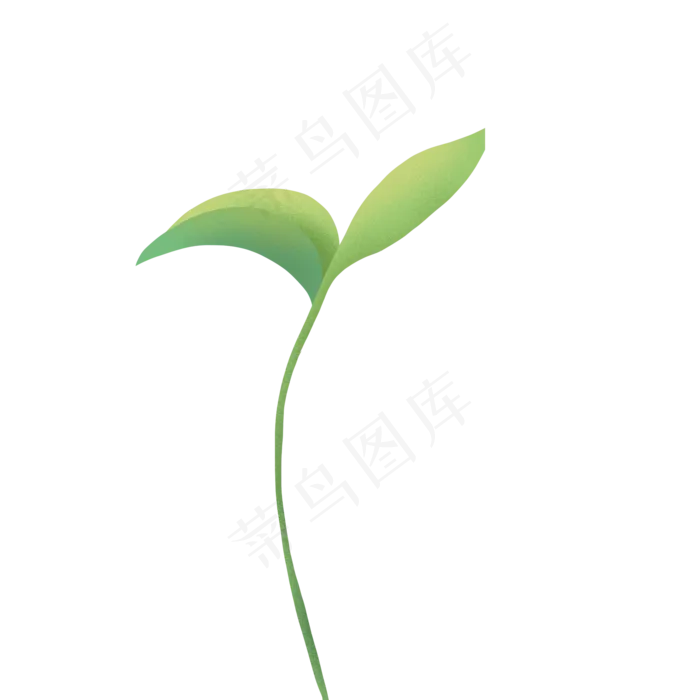 绿色植物叶子下载(2000*2000px 300 dpi )psd模版下载