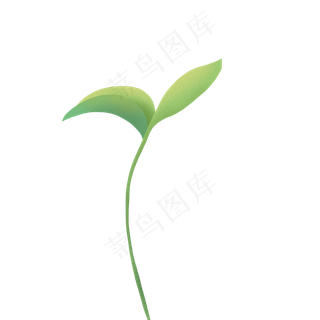 绿色植物叶子下载