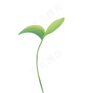 绿色植物叶子下载
