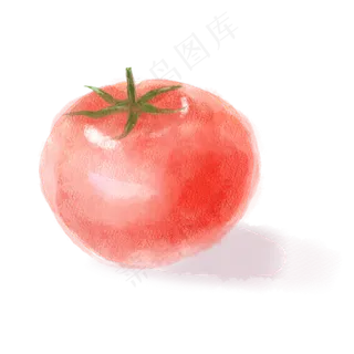 水彩西红柿