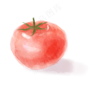 水彩西红柿