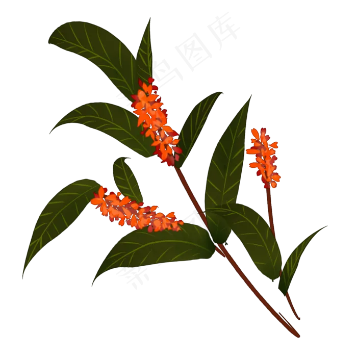 手绘八月桂花香装饰