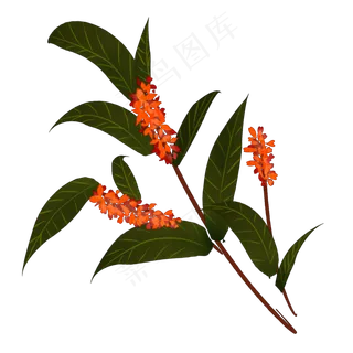 手绘八月桂花香装饰