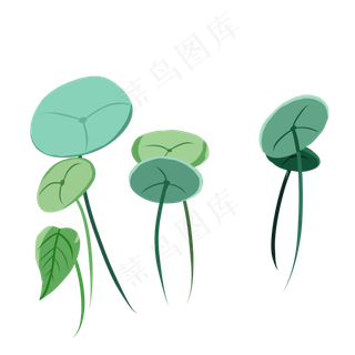 绿色植物叶子元素