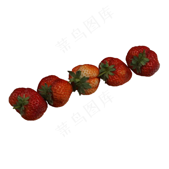 实拍种植五个大草莓(3000X3000(DPI:300))psd模版下载