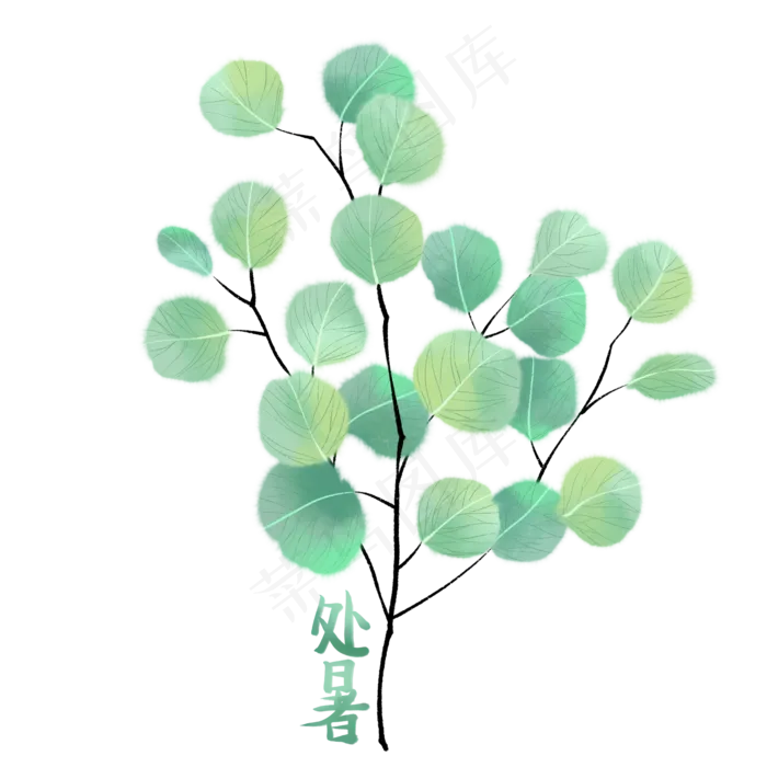 节气处暑植物(2000X2000(DPI:300))psd模版下载