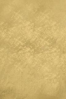 牛皮纸纸质质感纹理