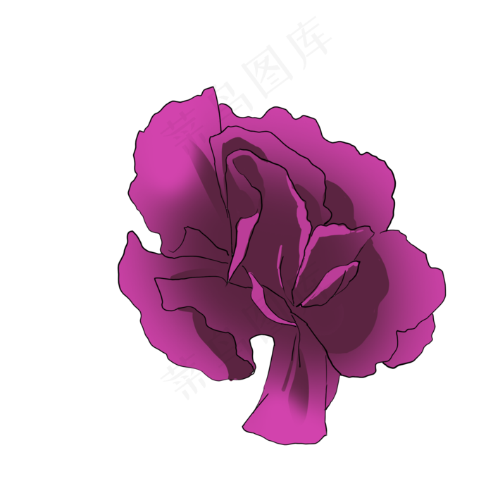 紫色康乃馨手绘写实母亲节