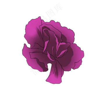 紫色康乃馨手绘写实母亲节