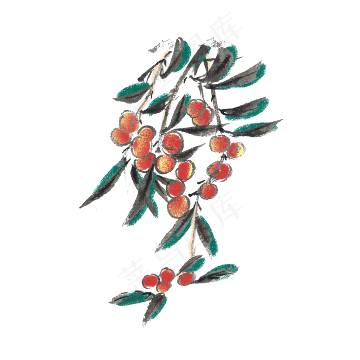 水墨风杨梅手绘插画