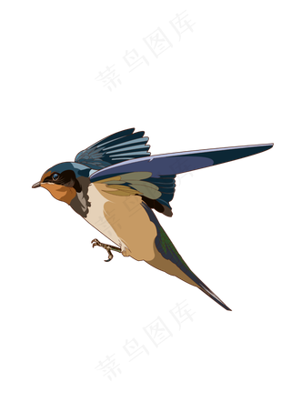 春分燕子免扣元素,免抠元素